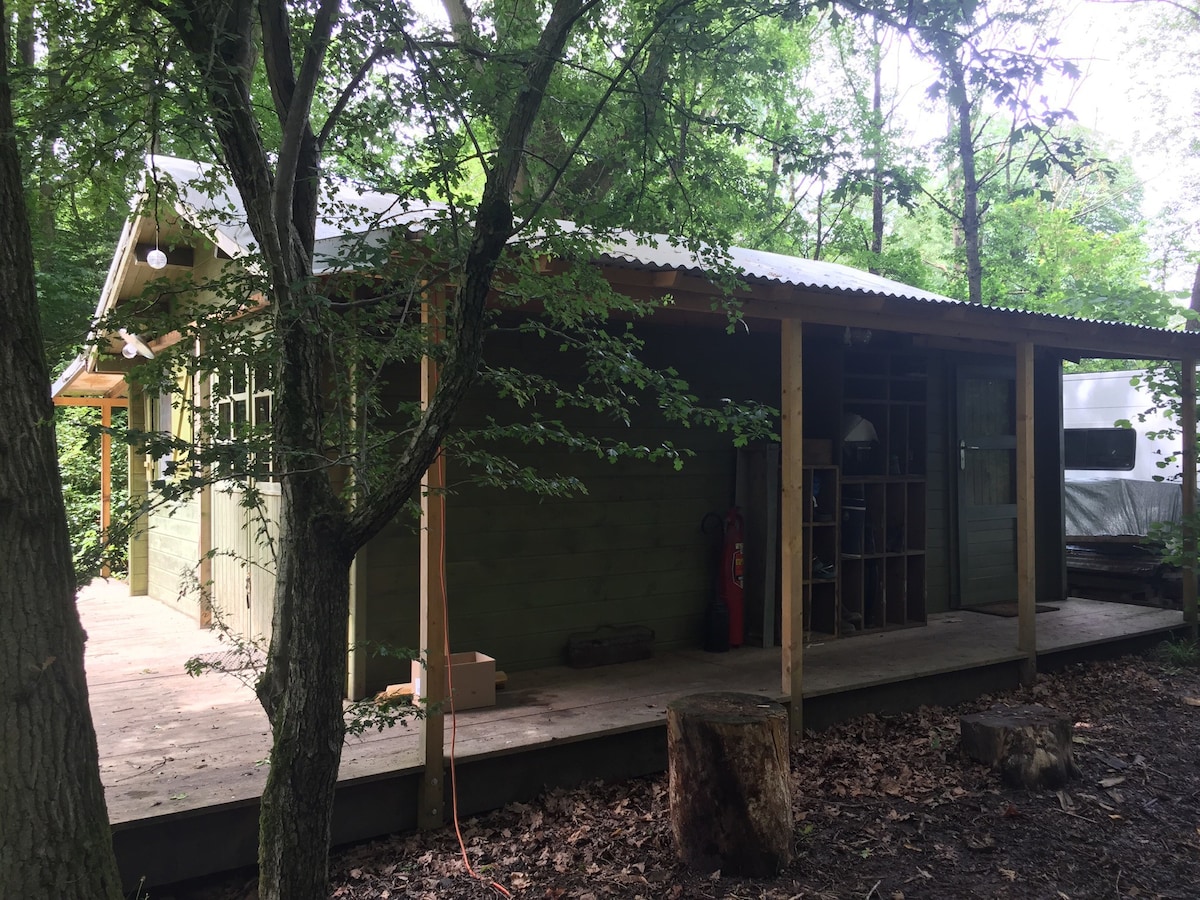 Tree Room - Chevreuse