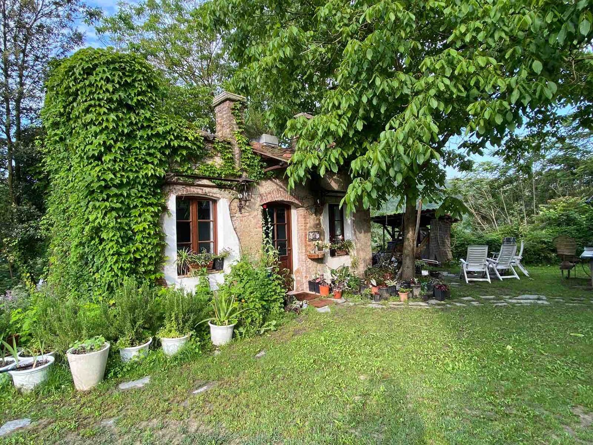 La Dimora delle Viole. Il tuo Chalet nel bosco.