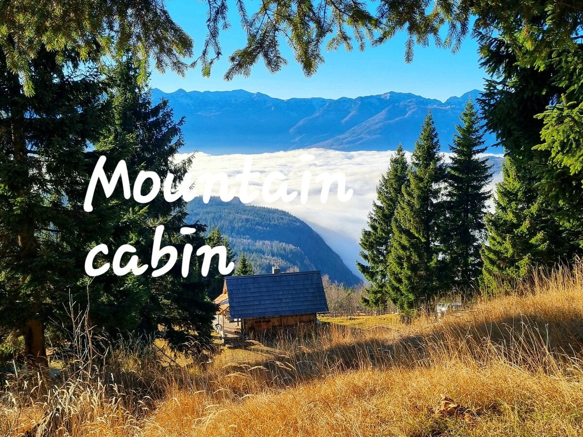 Mountain Cabin
Off-grid
National Park 
Bohinj