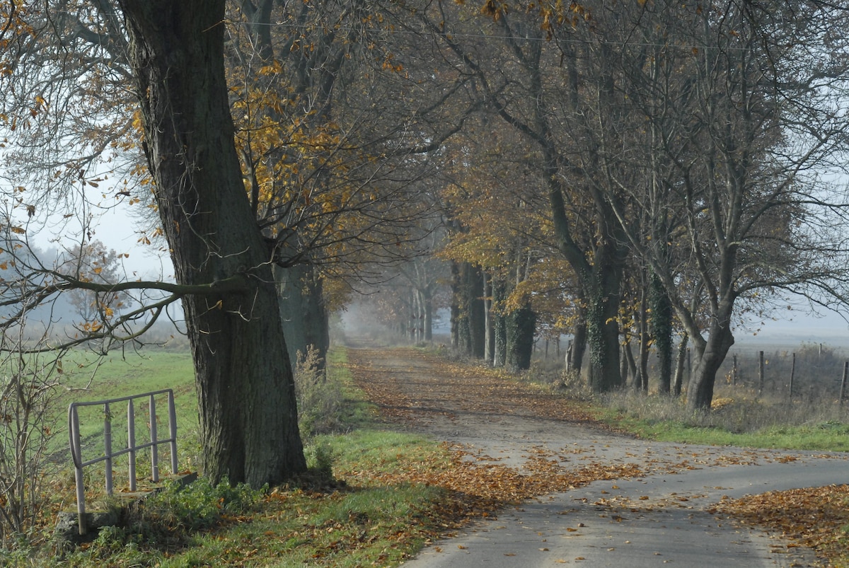 Gut Burghof Parkblick