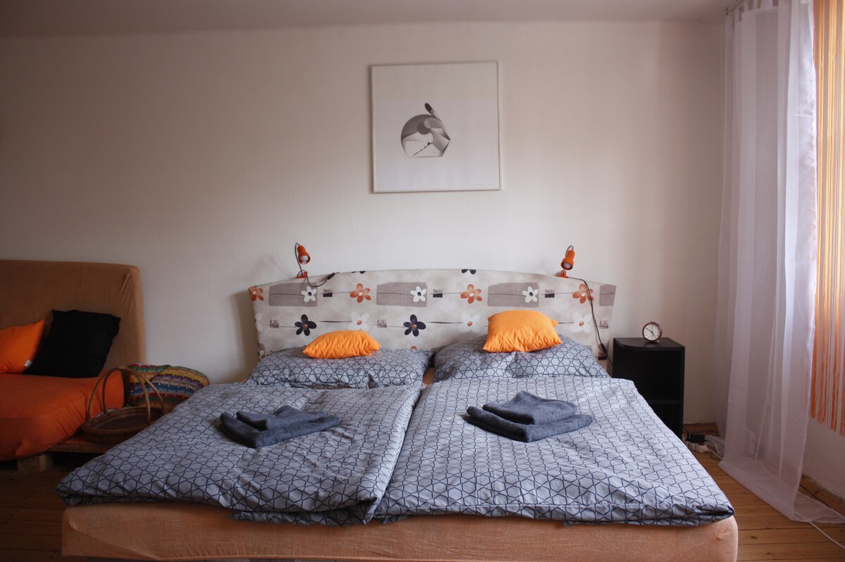 Spacious Apartment in Attic