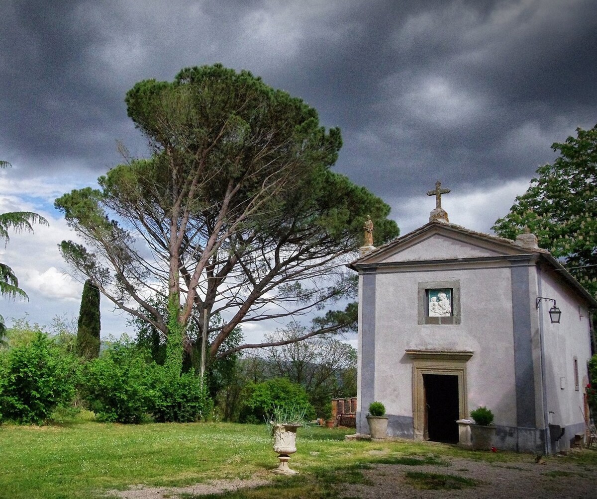 Canon of San Vincenzo