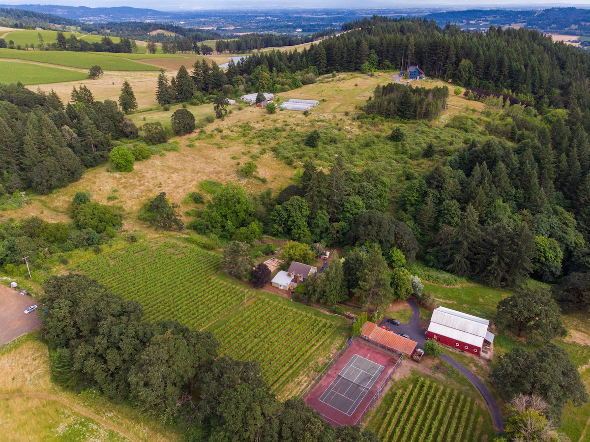 纽伯格(newberg) · 整套住宅 · 老农场:葡萄园上的一栋现代化的5卧