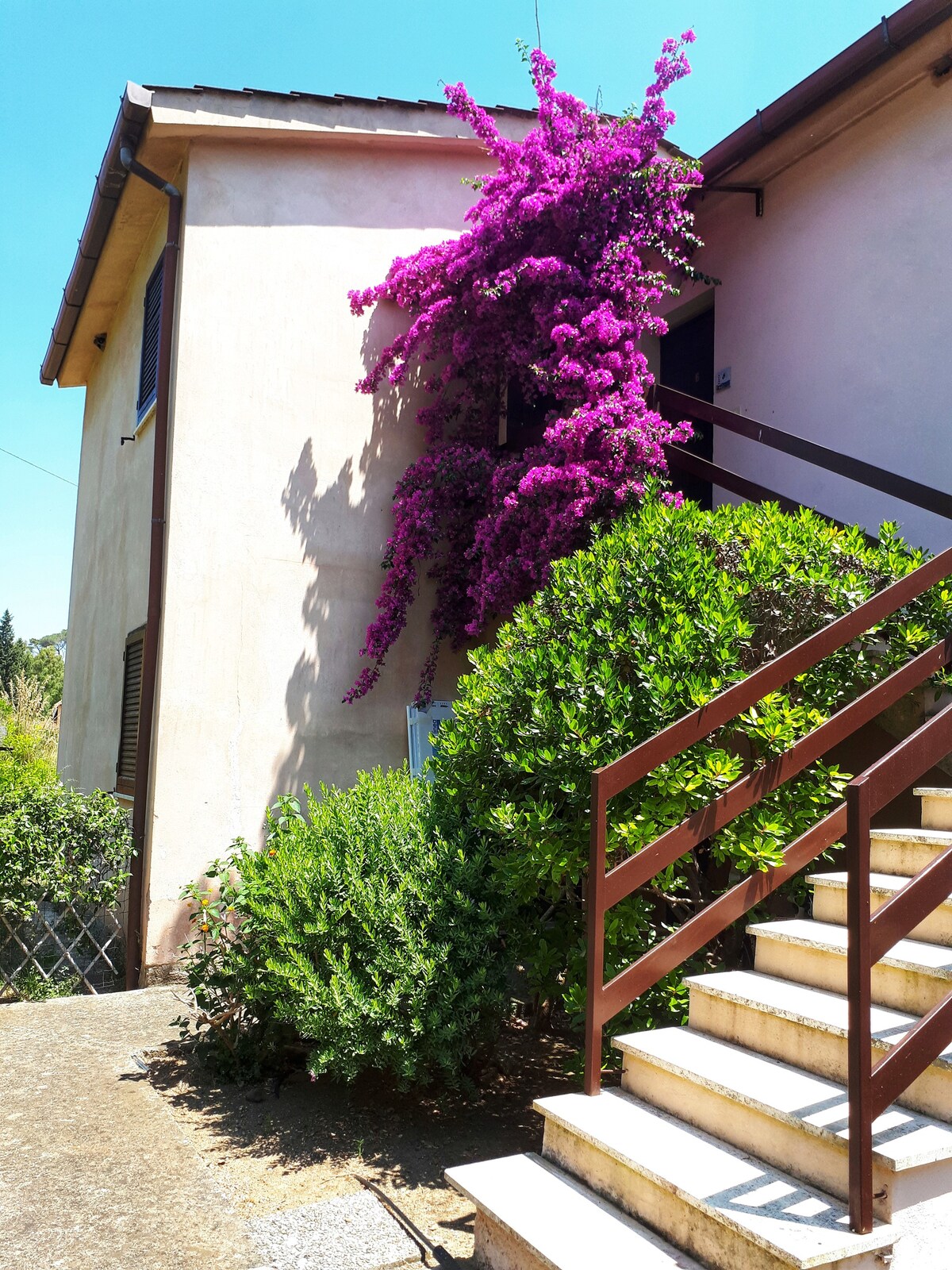 布干维利亚公寓（ Apartment bougainvillea with a Garden ）