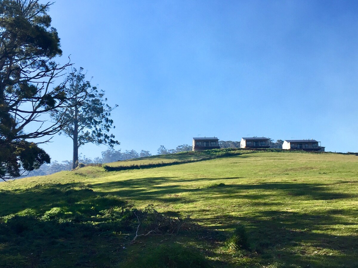 Manna Hill Farm Cottages - Mt Roland View