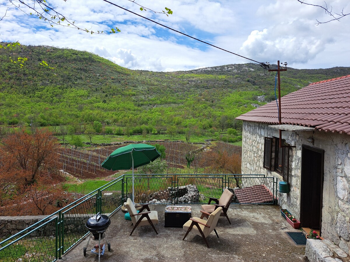 Countryside house - Montenegro