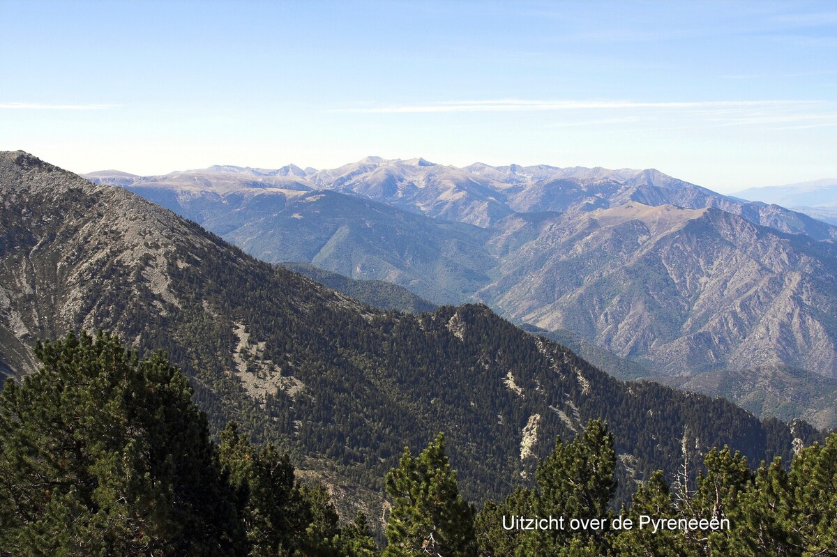 位于比利牛伊恩（ Pyreneeen ）的迷你移动家庭营地。