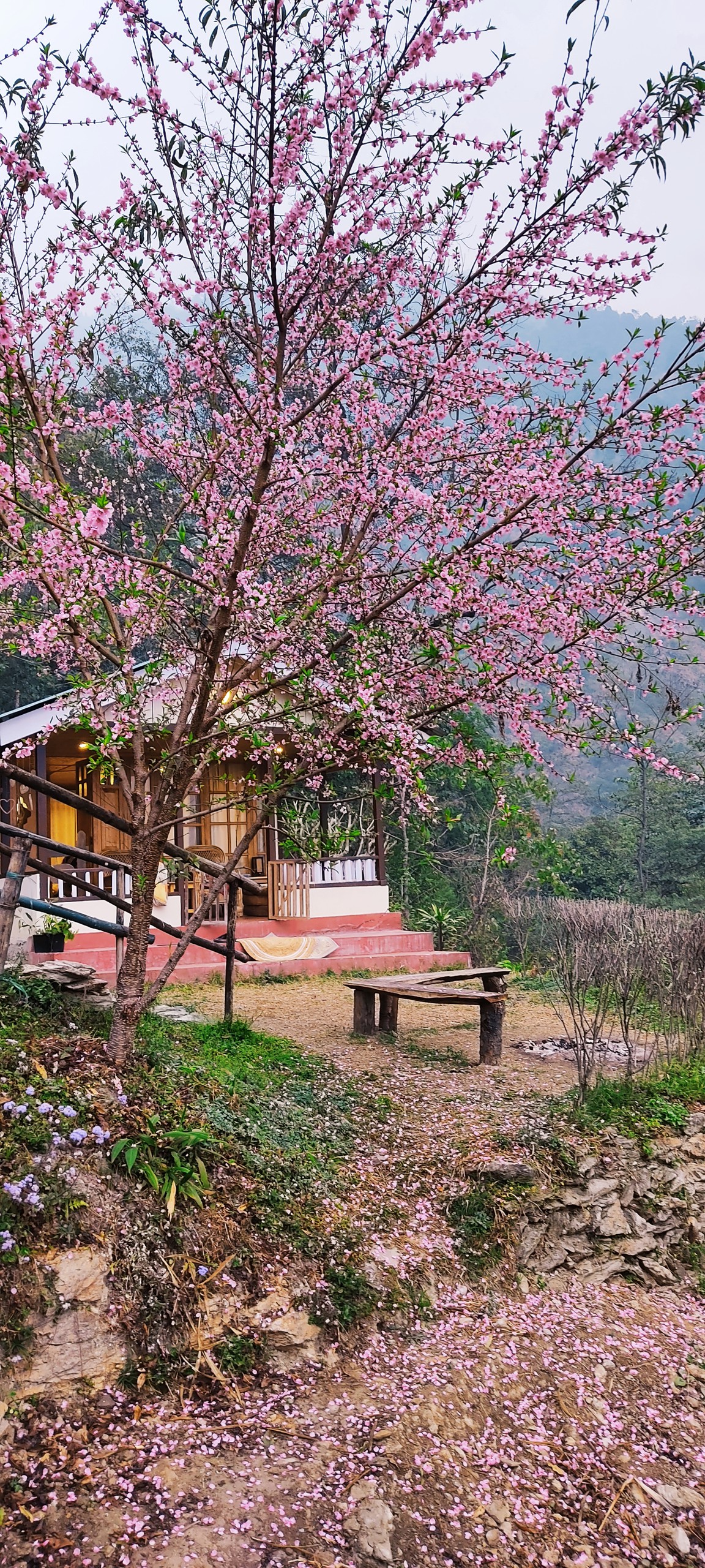 质朴核桃小屋-瀑布和山景