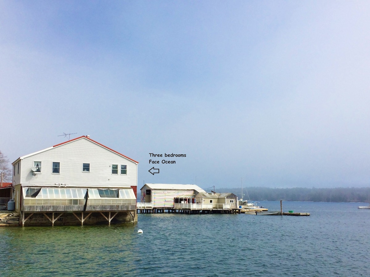 Lobsterman 's Lodge - Working Waterfront Marina ！