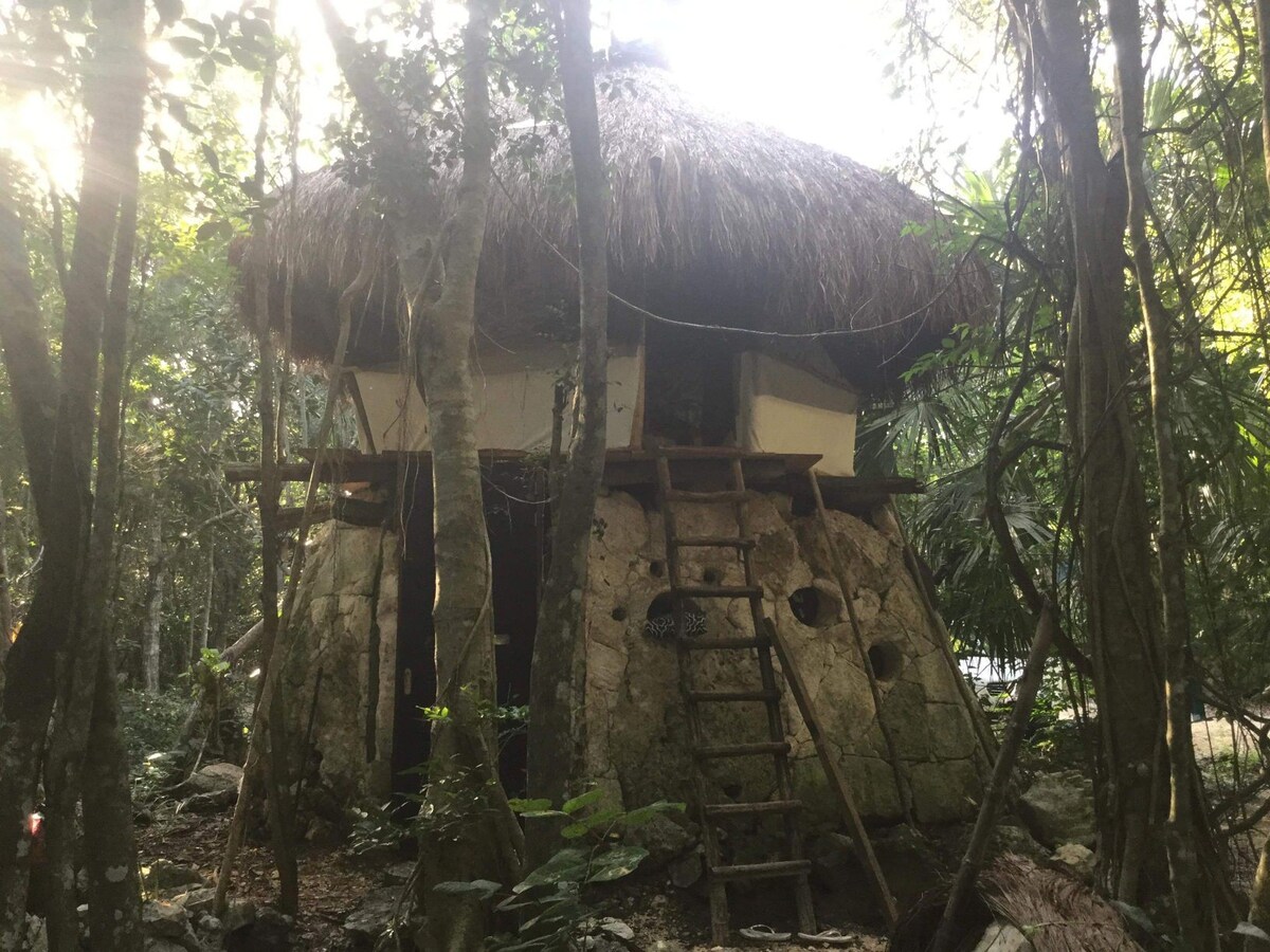 Cabañas Mariposas