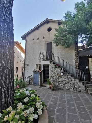 Canale Monterano的民宿