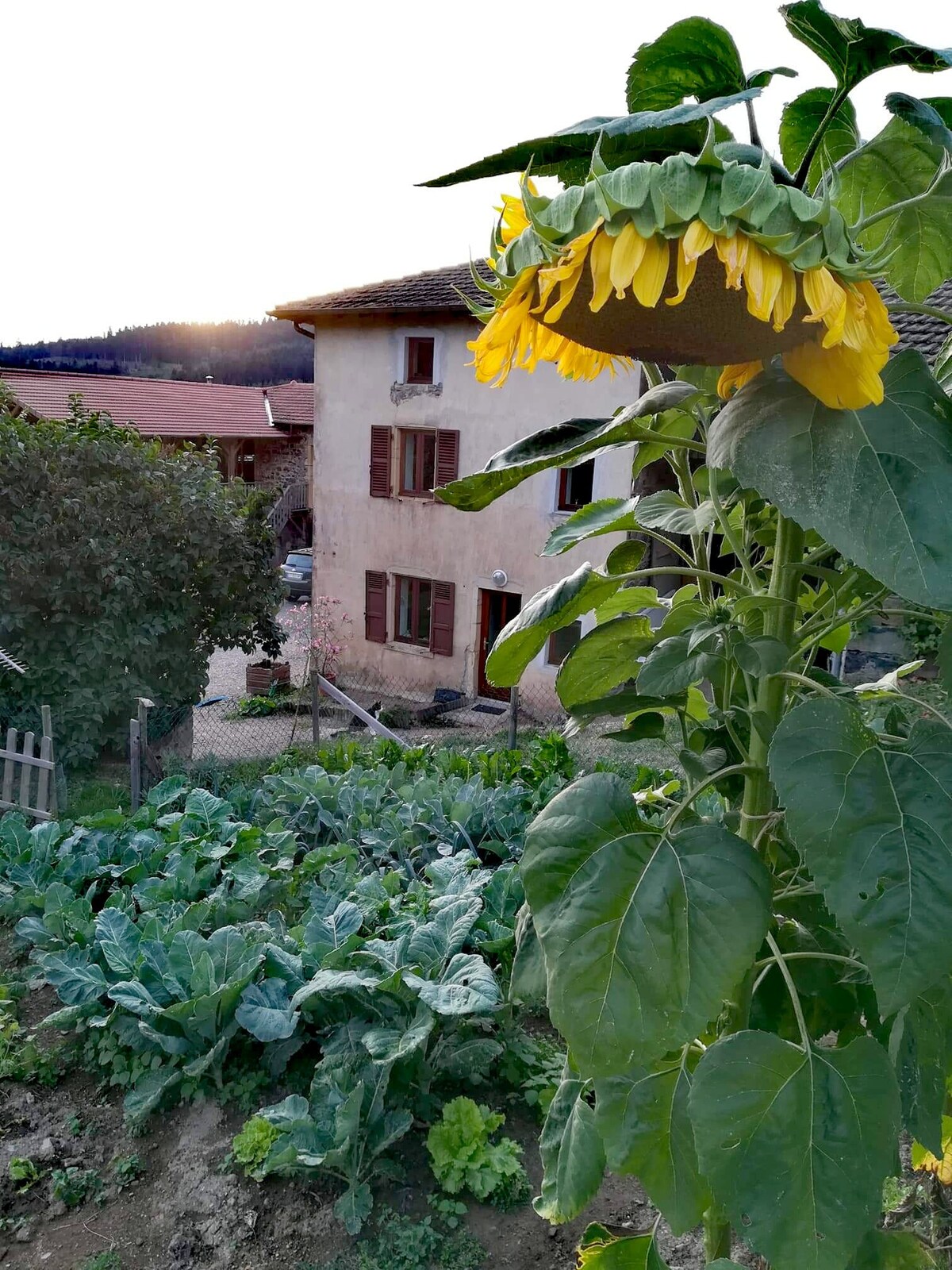 Maison de charme, 65km de Lyon,  Haut Beaujolais.