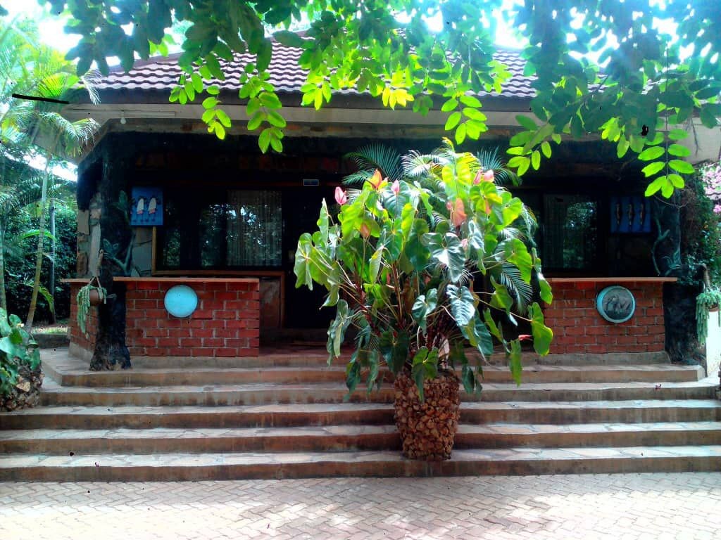 Ango Tree Lodge