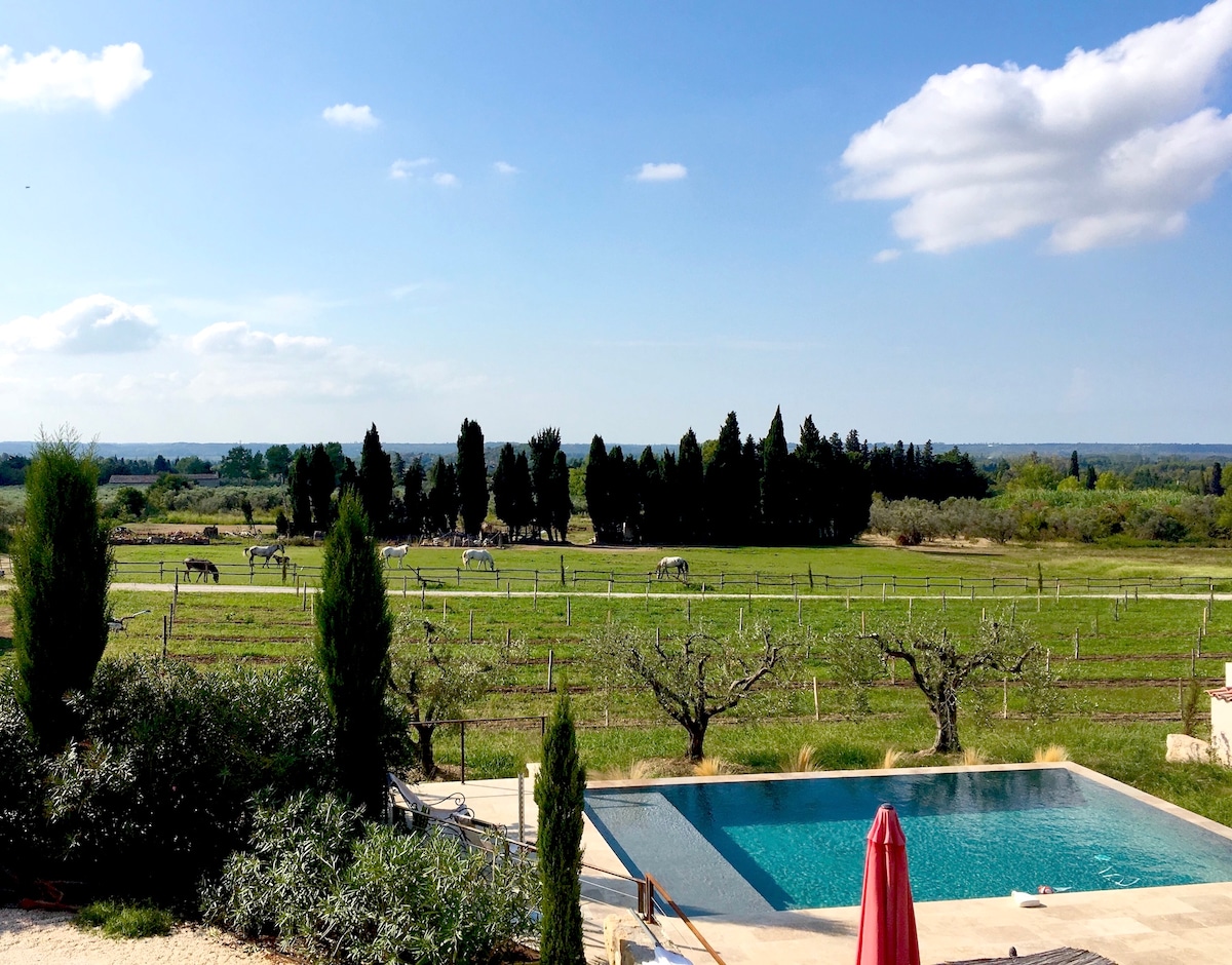 Gîte Mas de Cayol, Au cœur des Alpilles