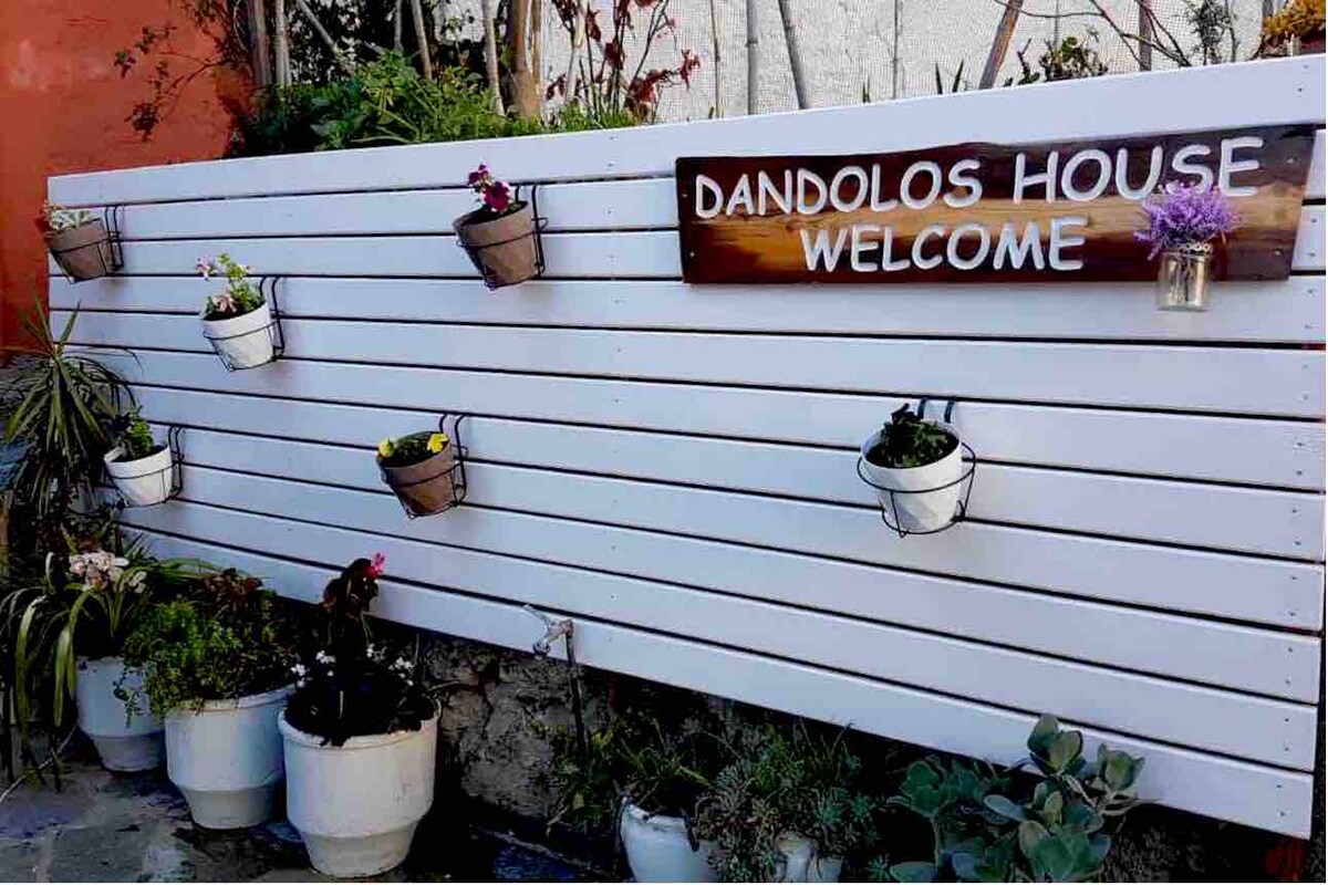 Dandolos House -海景公寓