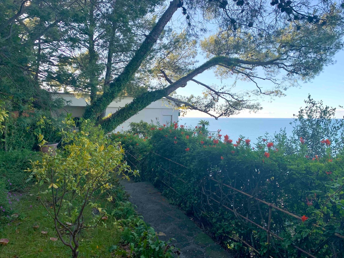 俯瞰柏涛菲诺（ Portofino ）的绝佳海景