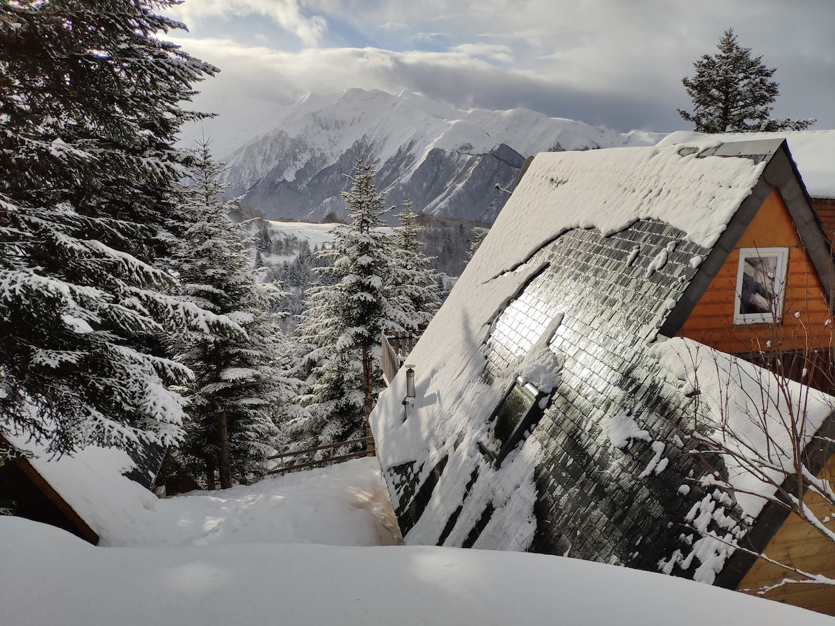 Chalet de Montagne - Guzet - Ariège