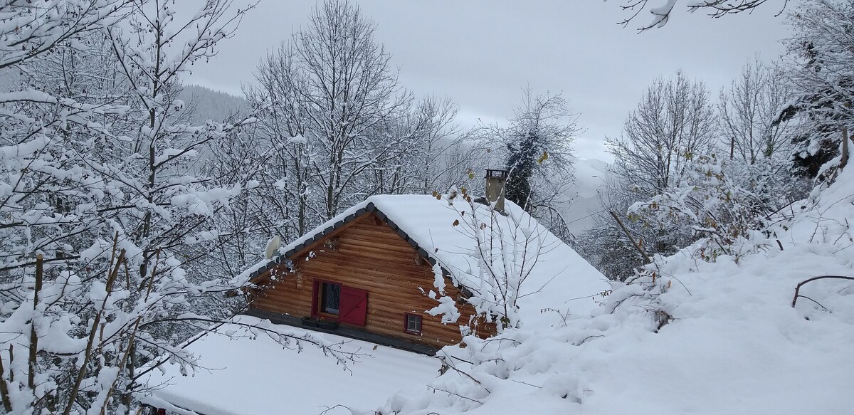 Chalet cosy pleine nature