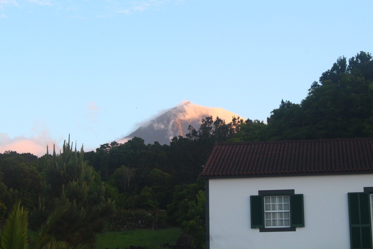 Casa Amaral -观赏鲸鱼的完美门廊