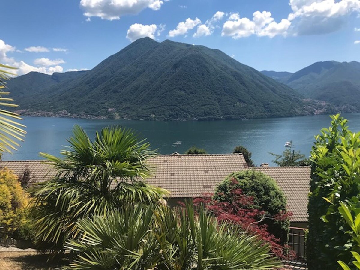 Villetta Dizzasco Lake Como ，靠近Argegno