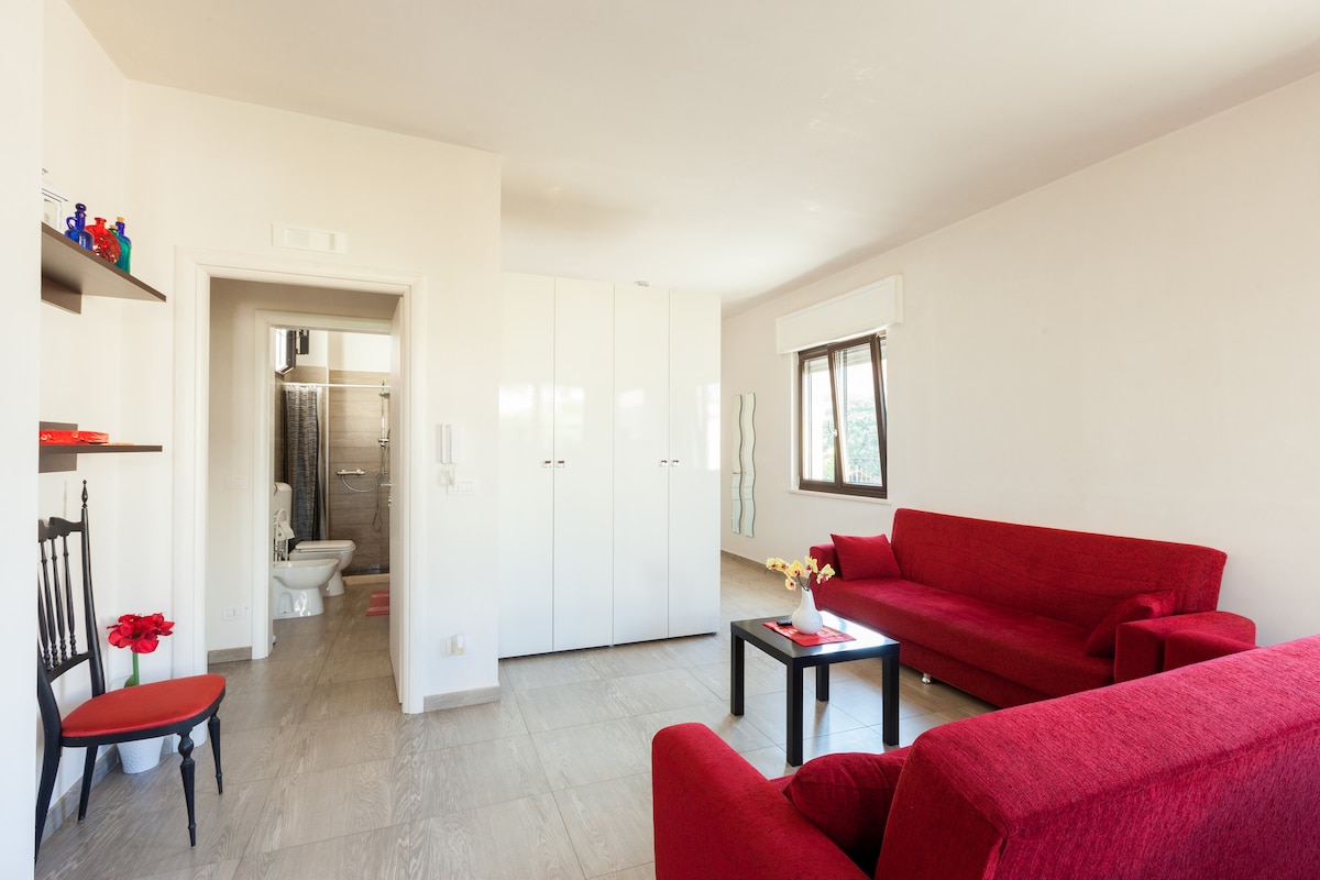 现代舒适单间公寓_Puglia