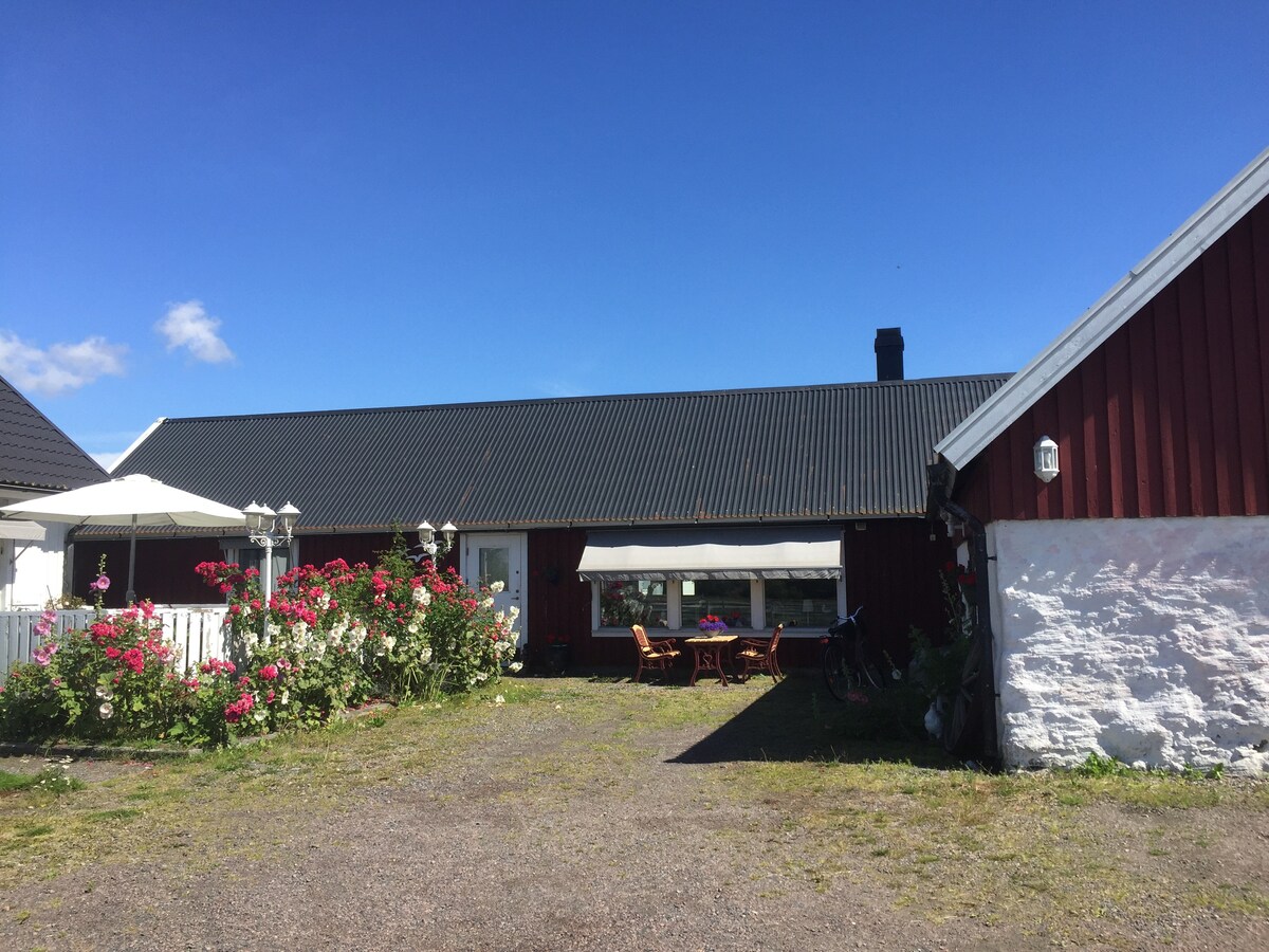 Bo på liten gård med havsutsikt