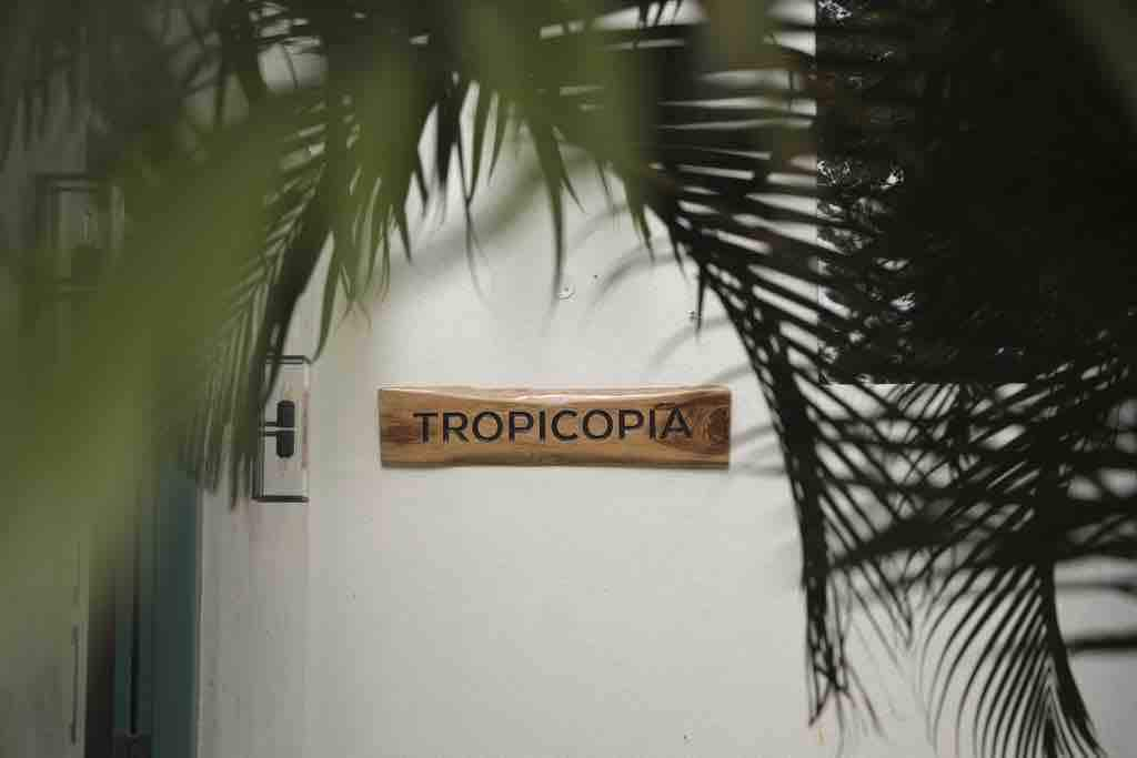 Cafe Cornucopia # TROPICOPIA 004