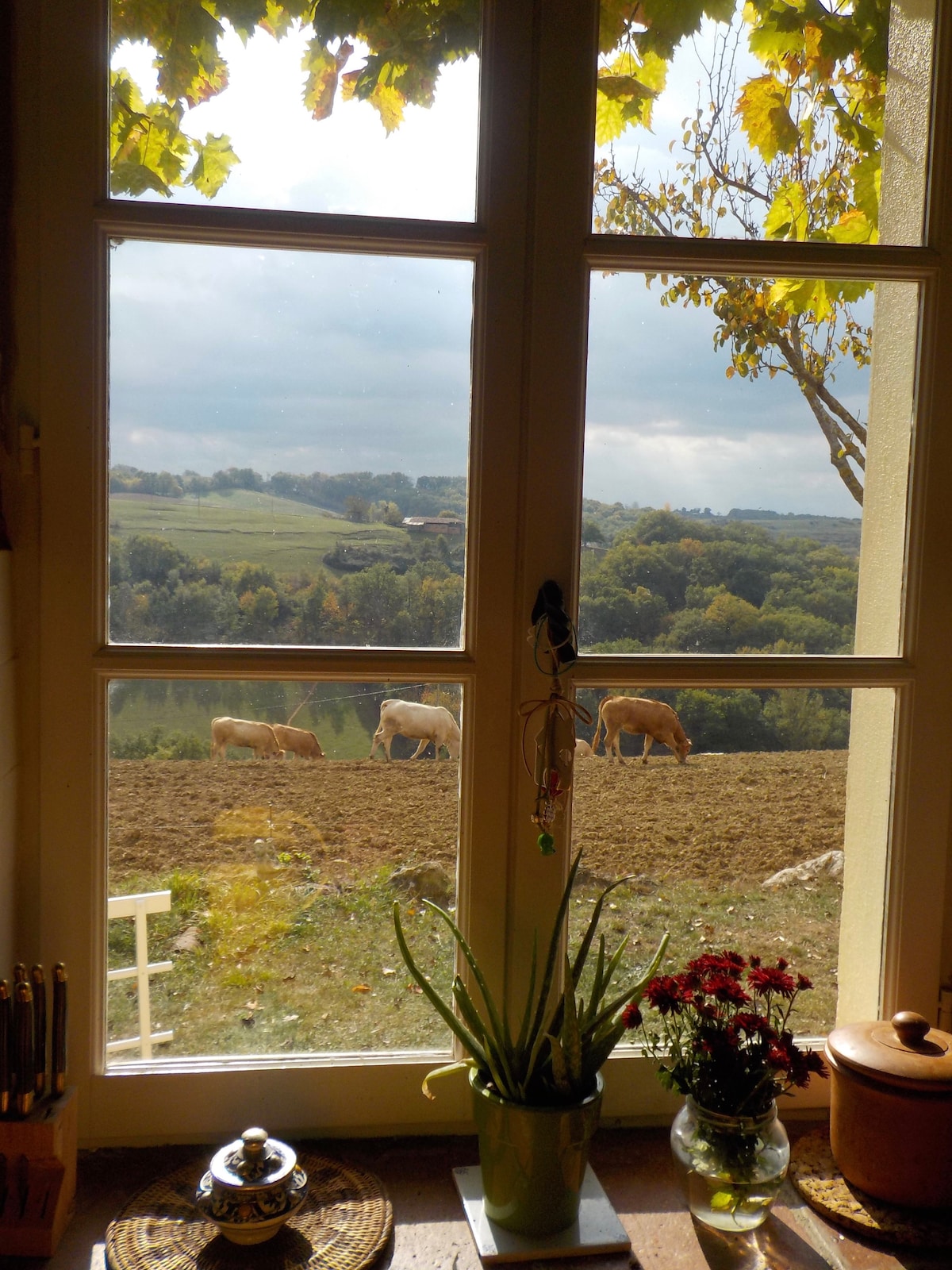 Private room and lounge in quaint converted barn