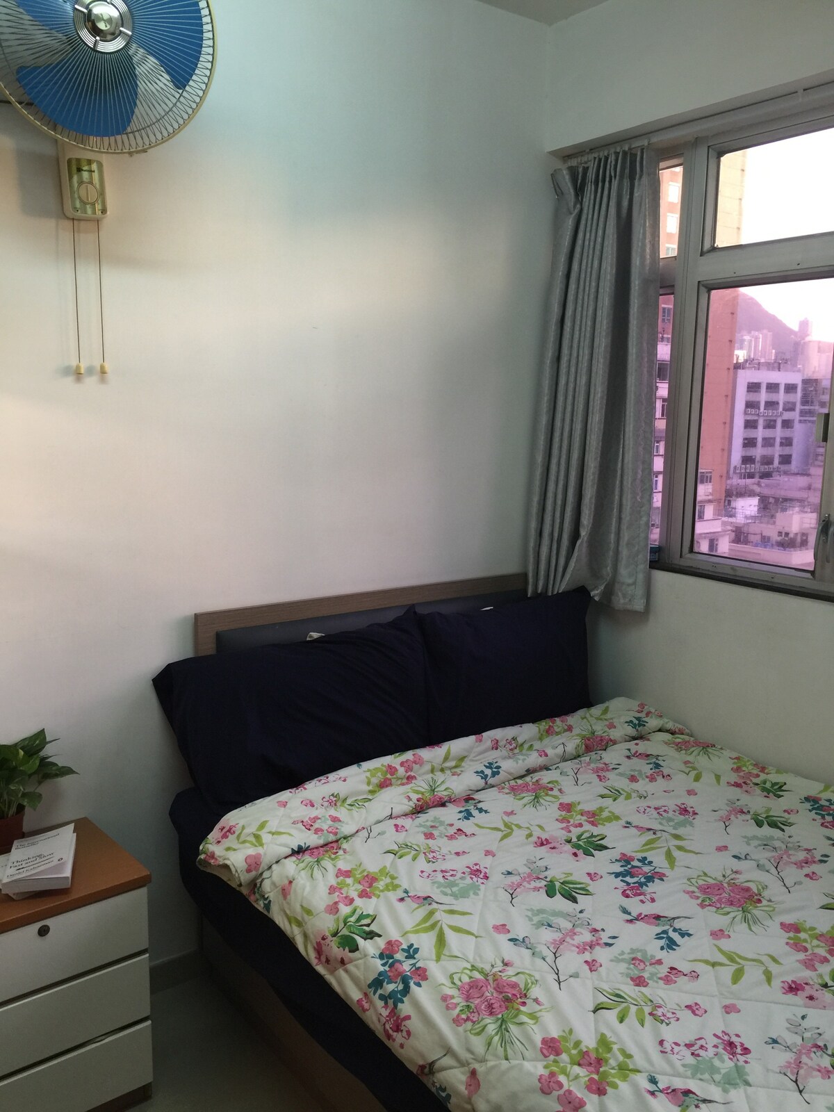 其中一个卧室可以俯瞰九龙公园。