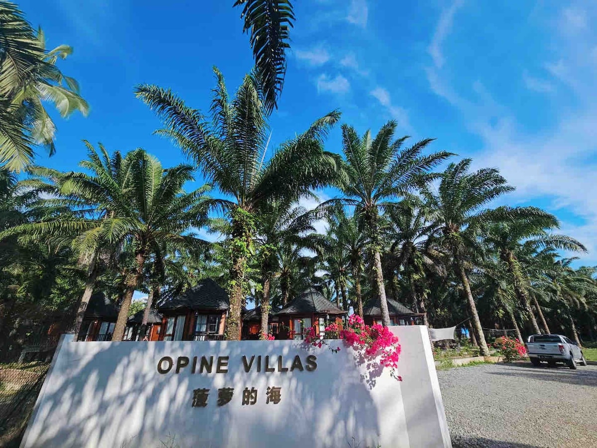 仙本那镇/菠萝的海.度假别墅/双卧室套房OPine villas