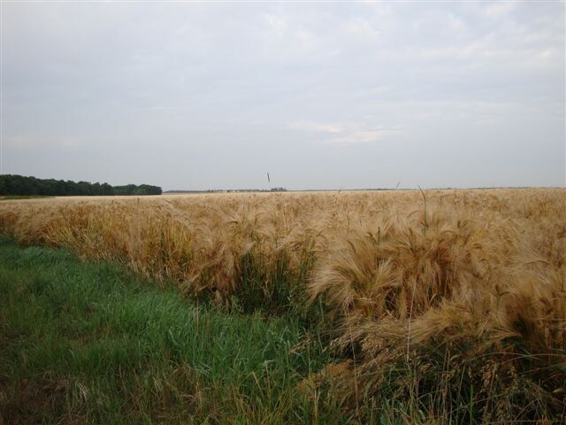 Le Petit Chavernay Farm