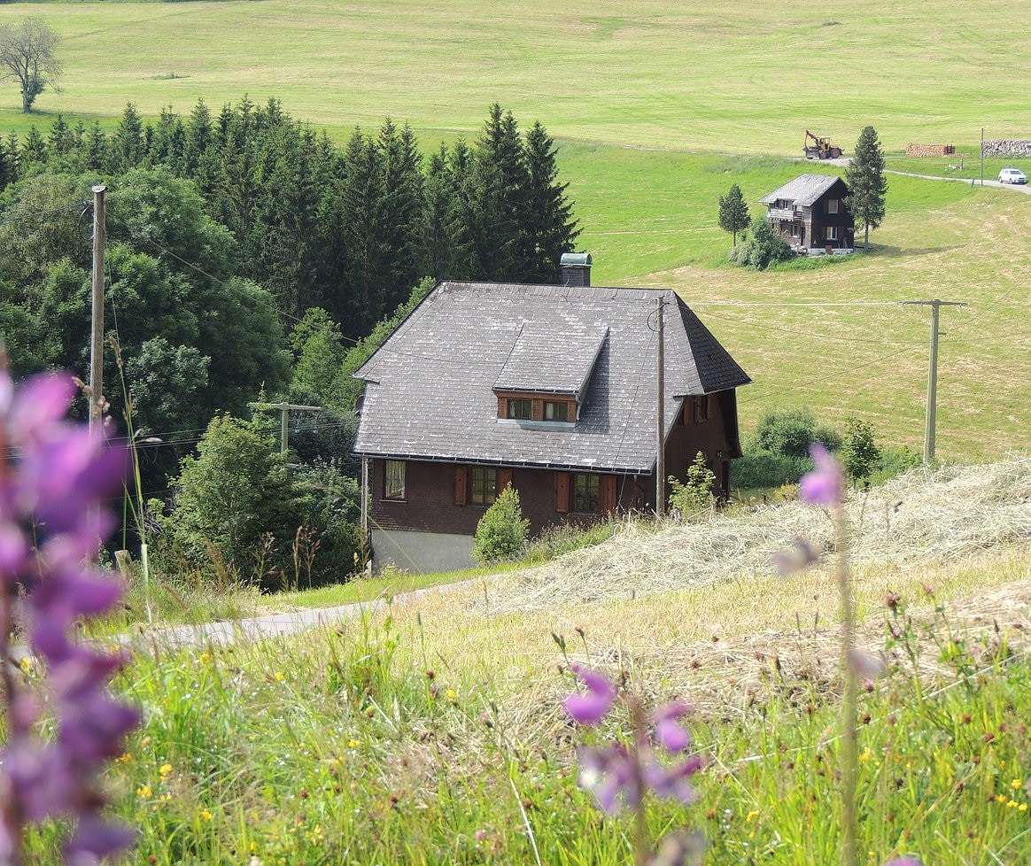 Historic Black Forest House "Seiler-Haus"