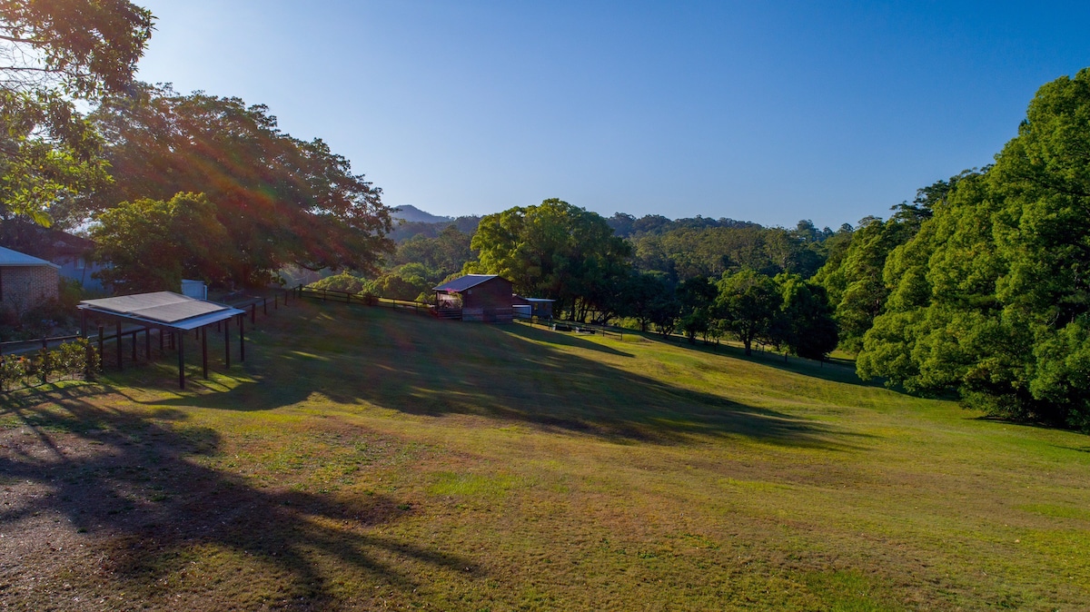 The Packing Shed - West Woombye