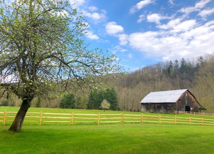 Bed & Breakfast Near Canaan Valley Davis Thomas