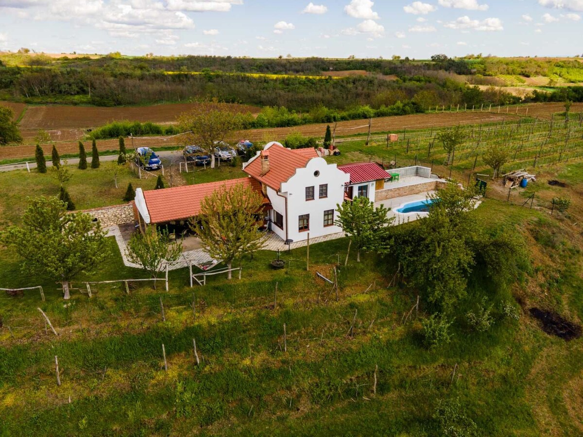 带泳池的房子，坐落在美丽的景观中Fruška g。