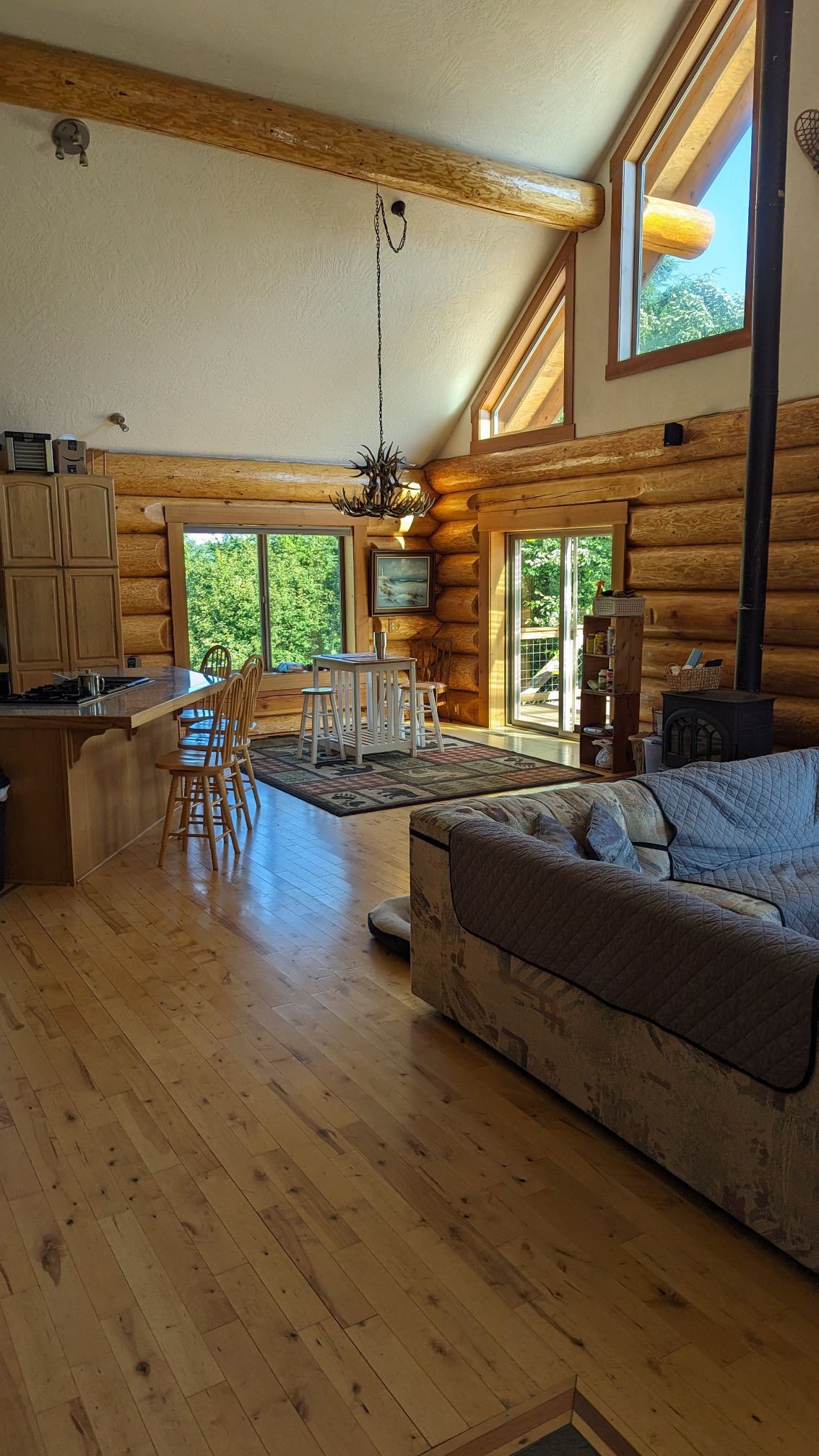 Mt. View Cabin in the woods