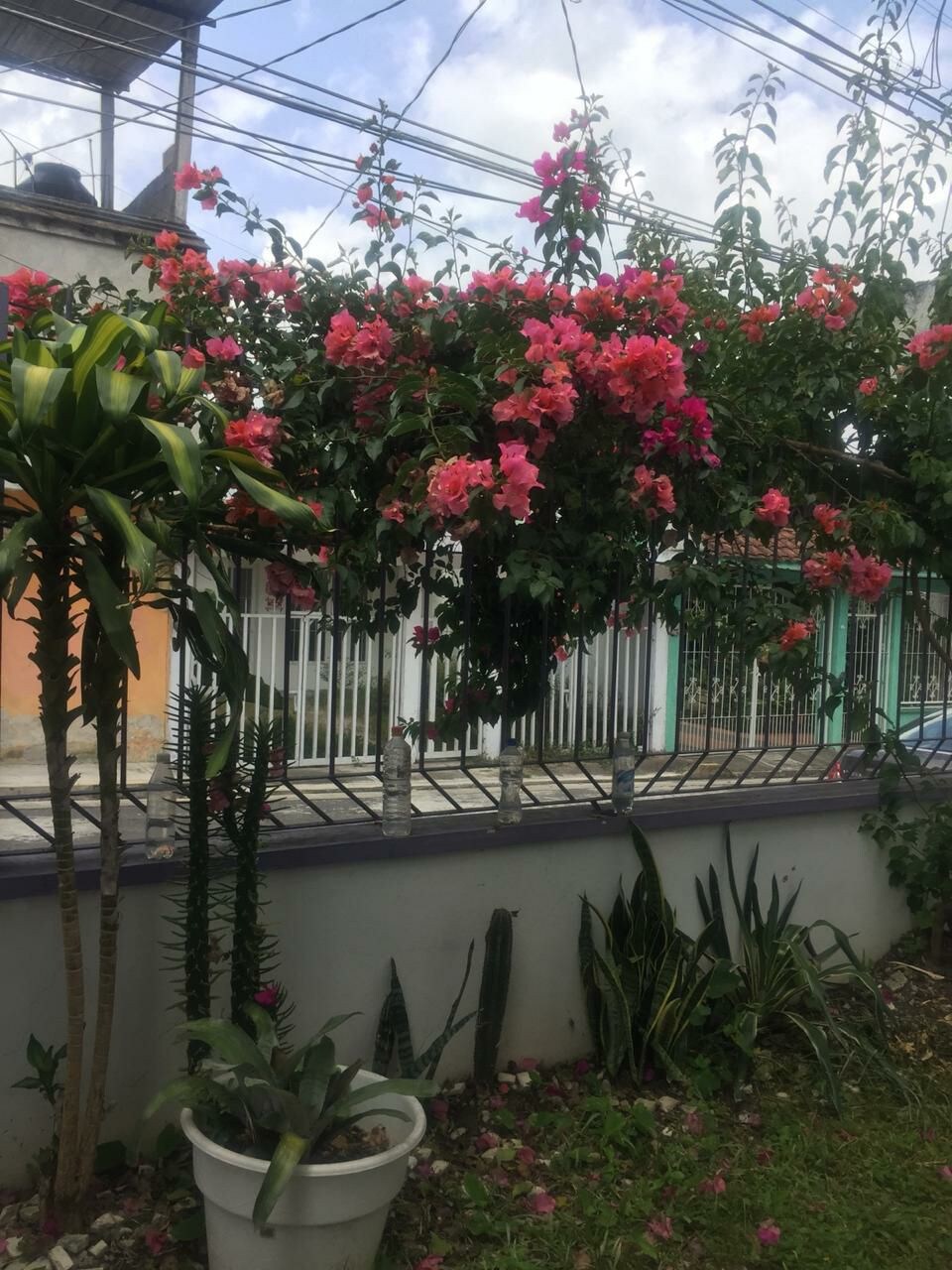 Bonita Casa en Coatepec