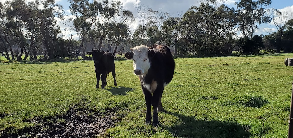 Step into a farm life