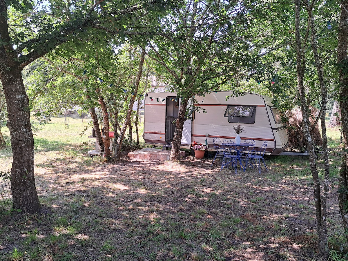 Caravane sous les chênes