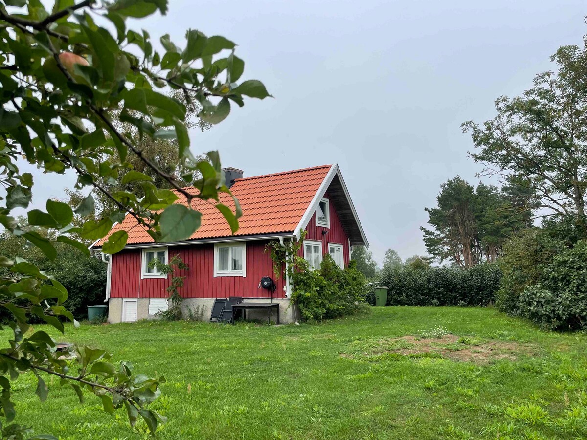 正宗瑞典（现代化）房屋，带海景