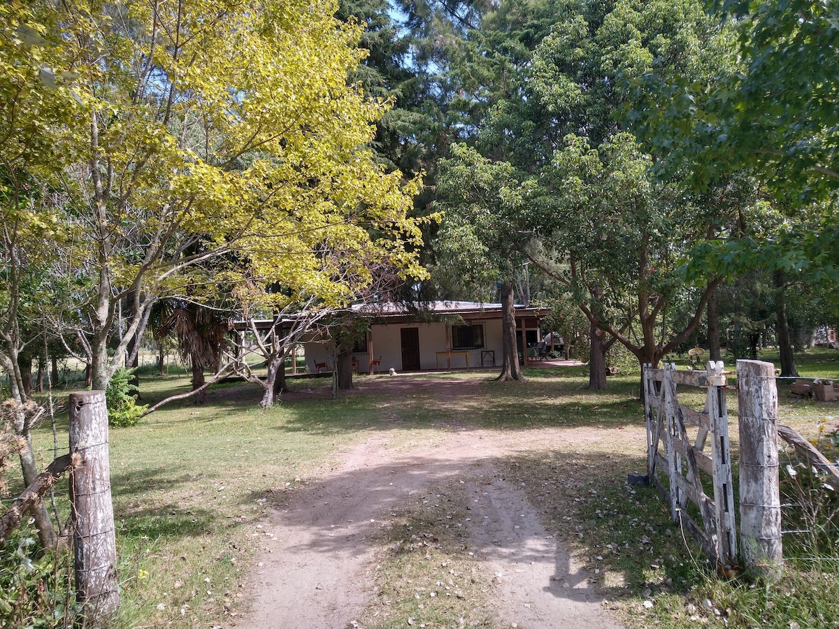 Casas de campo con laguna y bosque 9 huéspedes