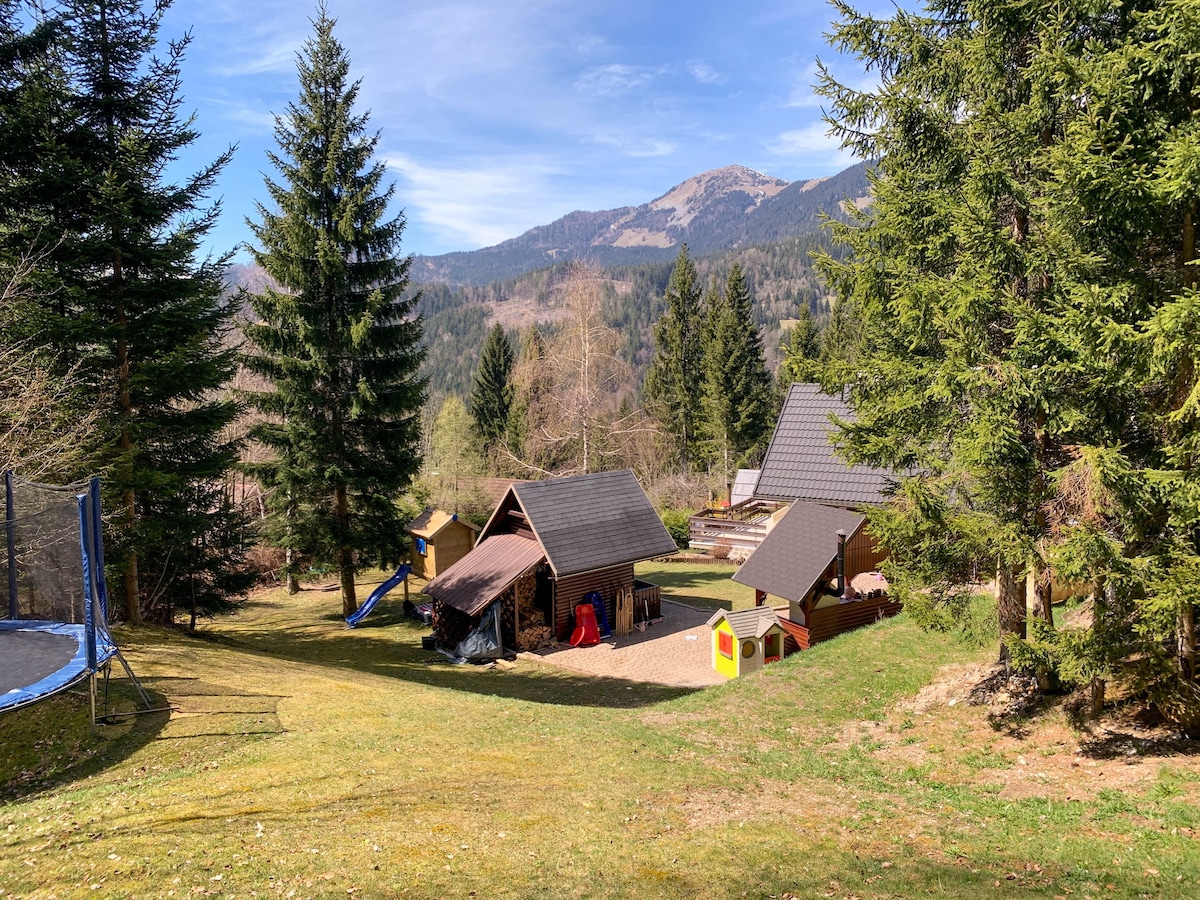 俯瞰布莱德附近朱利安阿尔卑斯山的小屋