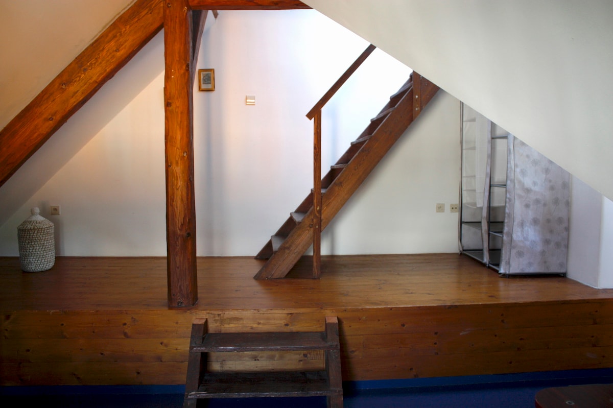 Spacious Apartment in Attic