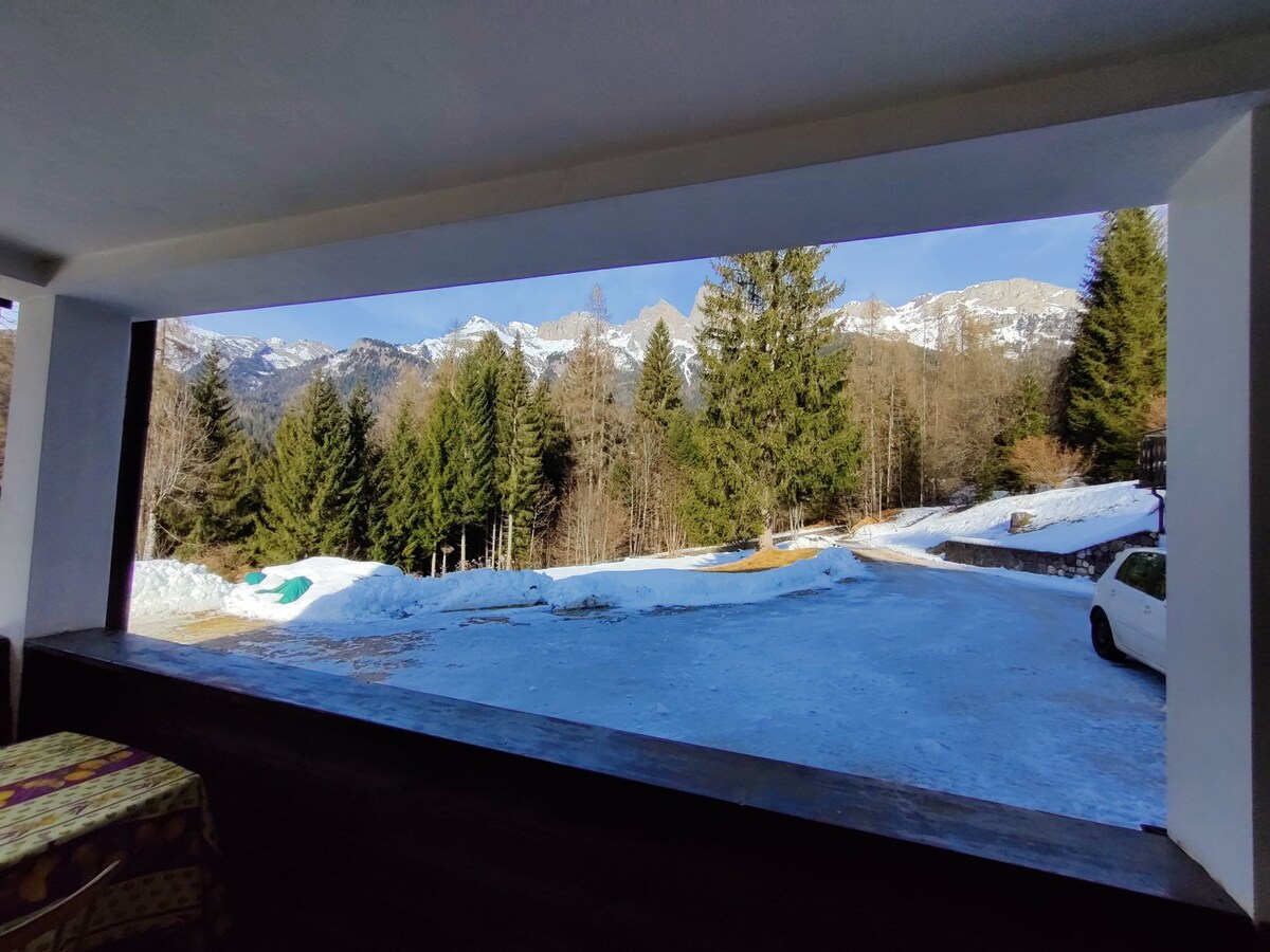 Falcade Dolomiti: La Quiete piano terra