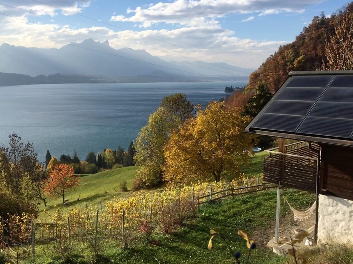 Chalet Bärenegg: kleine Perle am Thunersee