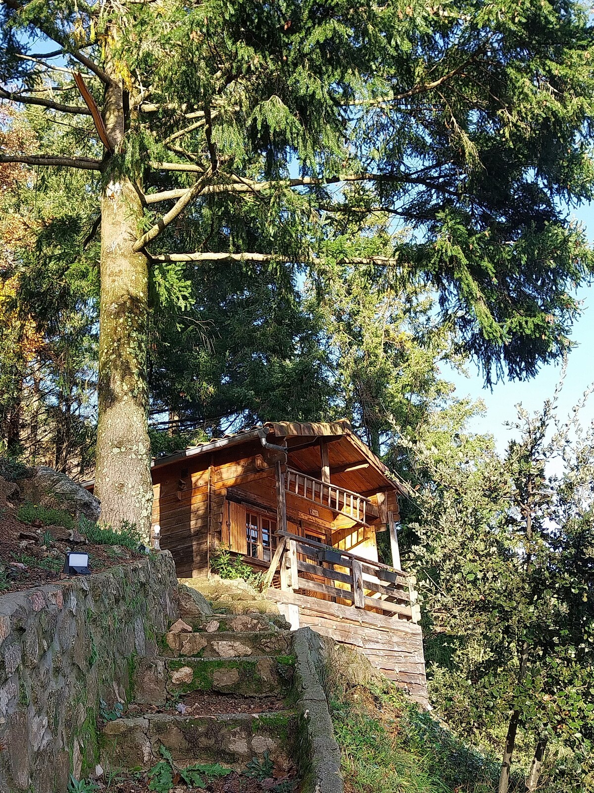 Adorable chalet au cœur de l'Ardèche