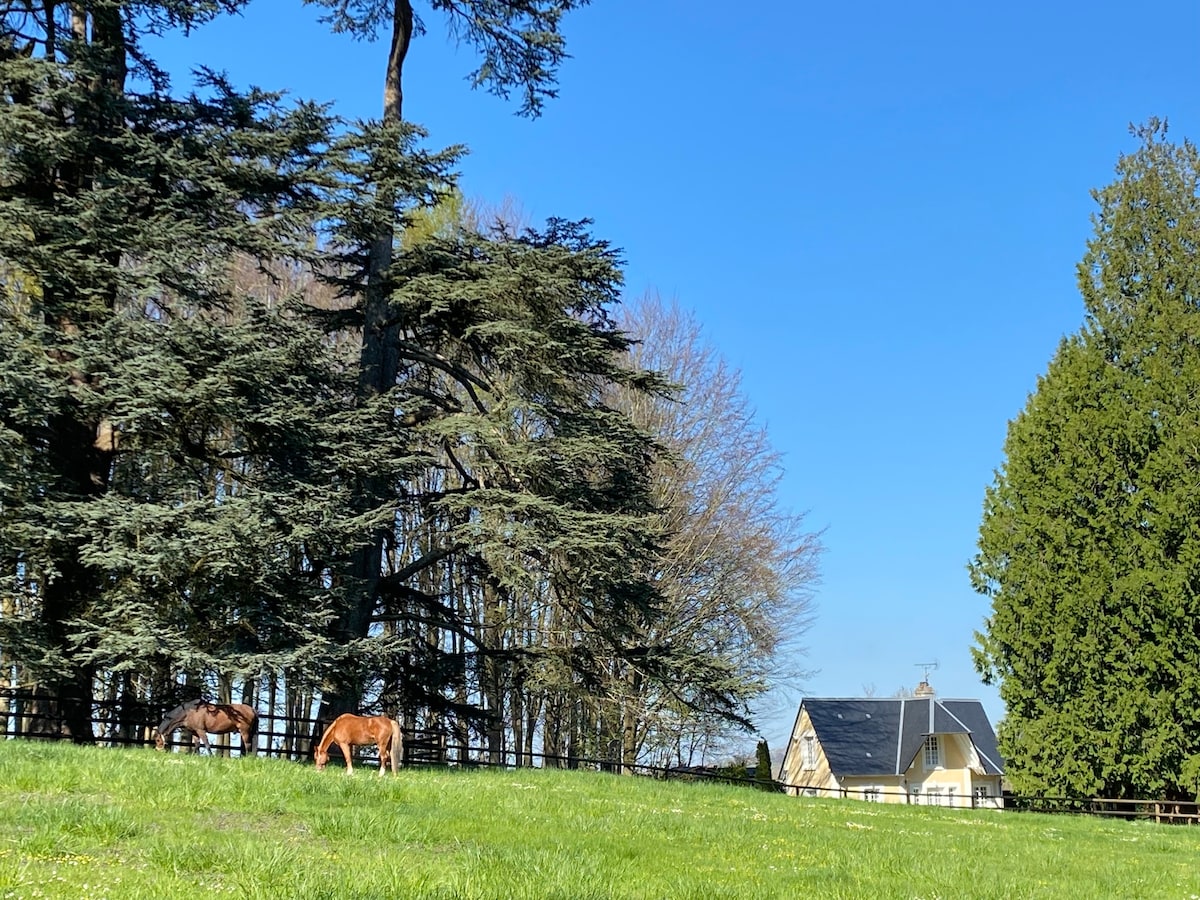 La Maison du Gardien, Château de l 'Avenue