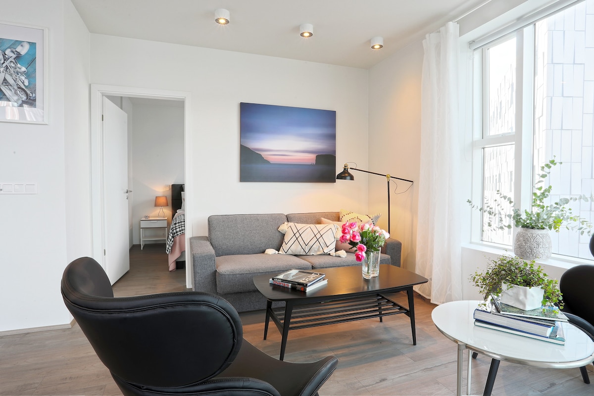 Salka Suites ，全新时尚公寓，可容纳5人Rvik市中心