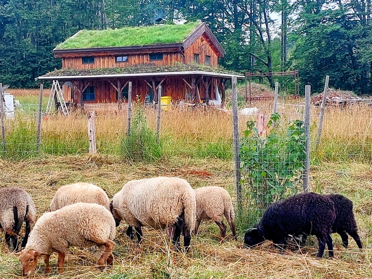 Chalet Borżvka -树林中的僻静美食农场