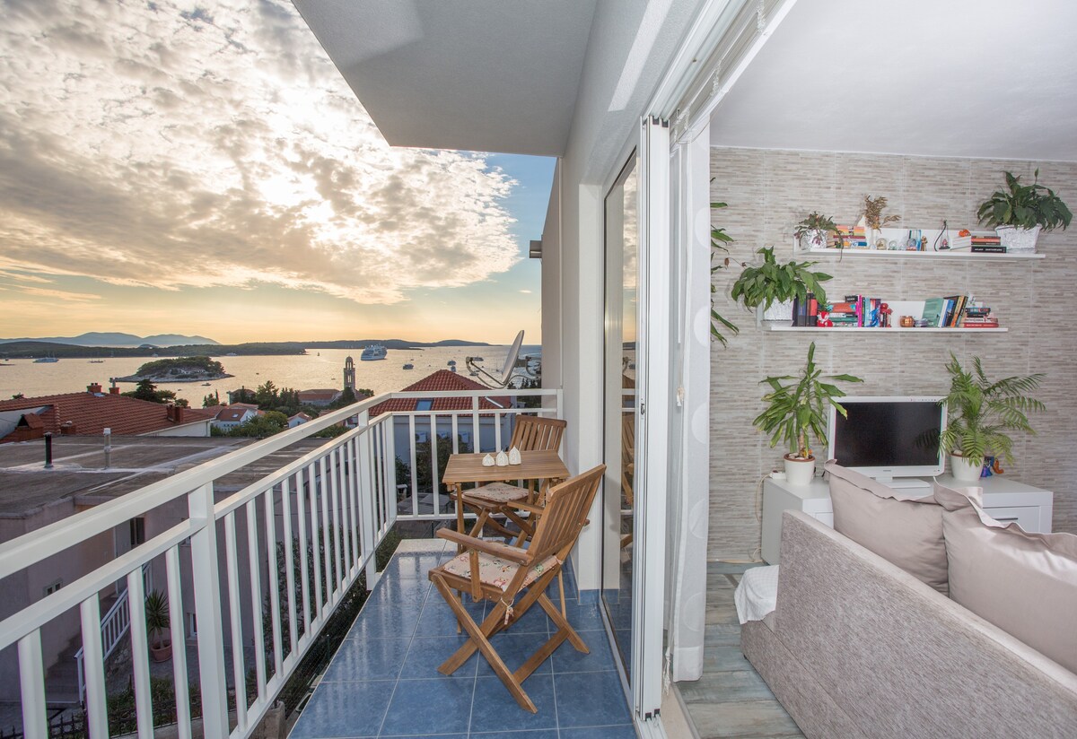 宽敞的公寓，带海景阳台